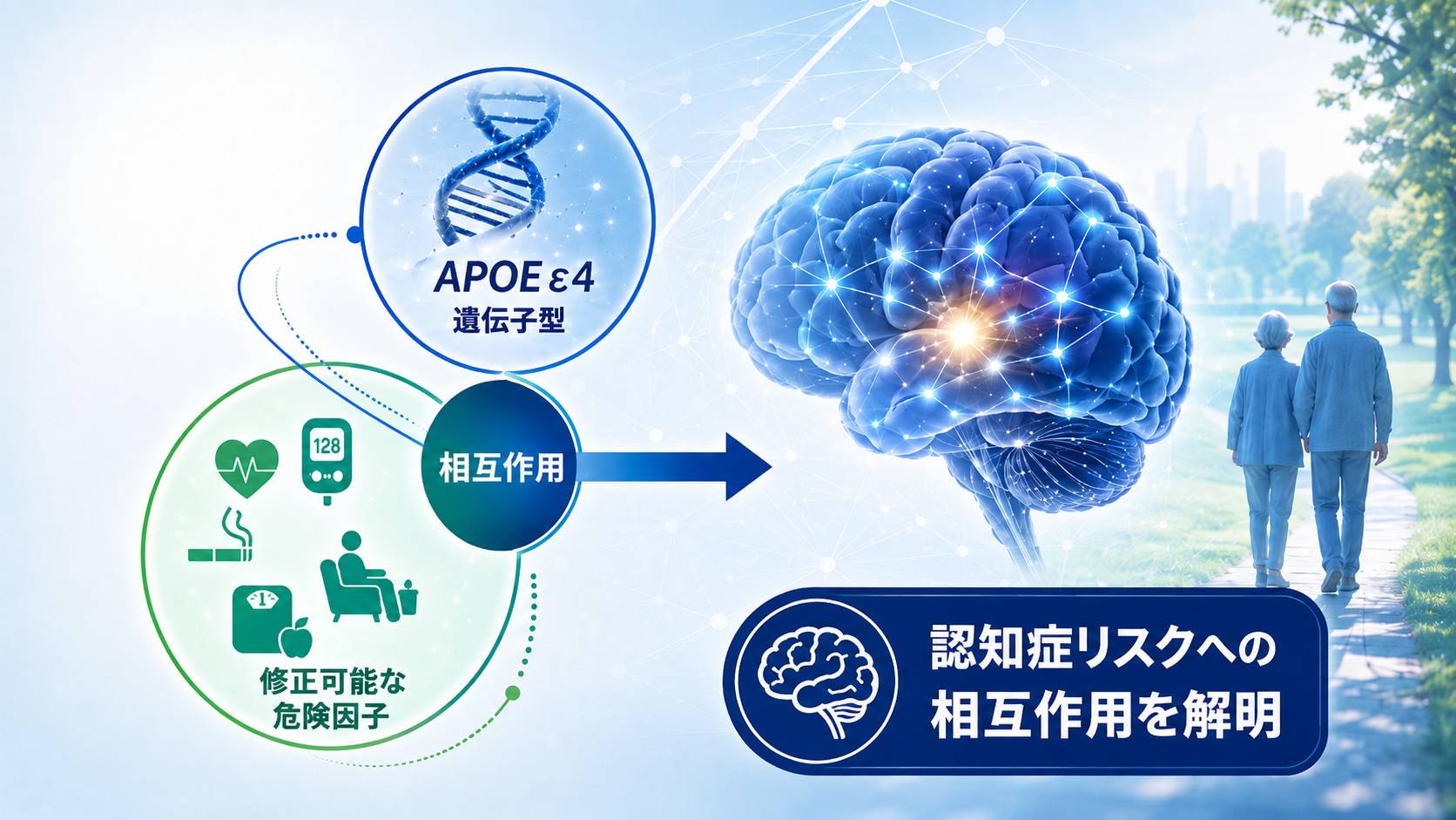 全国8地域の大規模認知症コホート研究により、APOE &epsilon;4遺伝子型と 修正可能な危険因子が認知症リスクに及ぼす相互的な関連を報告（衛生・公衆衛生学分野 二宮利治 教授、熊本将也 学術研究員）