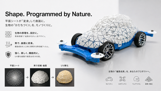 平面シートが「変身」して曲面に ―生物の「かたちづくり」をモノづくりに―（医学研究院系統解剖学分野 松田 佳祐 助教）