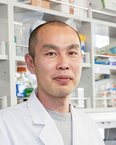 細菌学分野 新幸二教授の写真